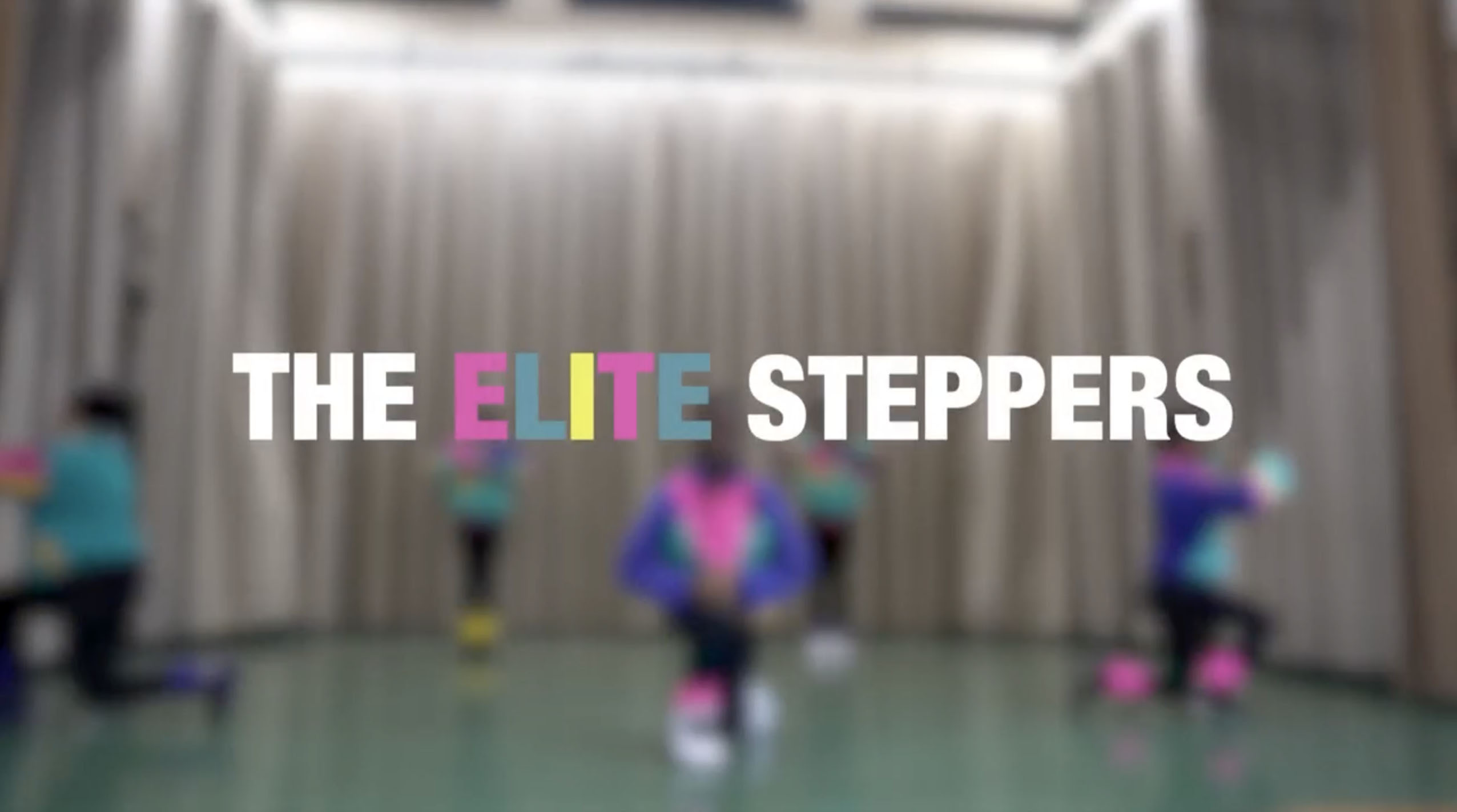 elite steppers